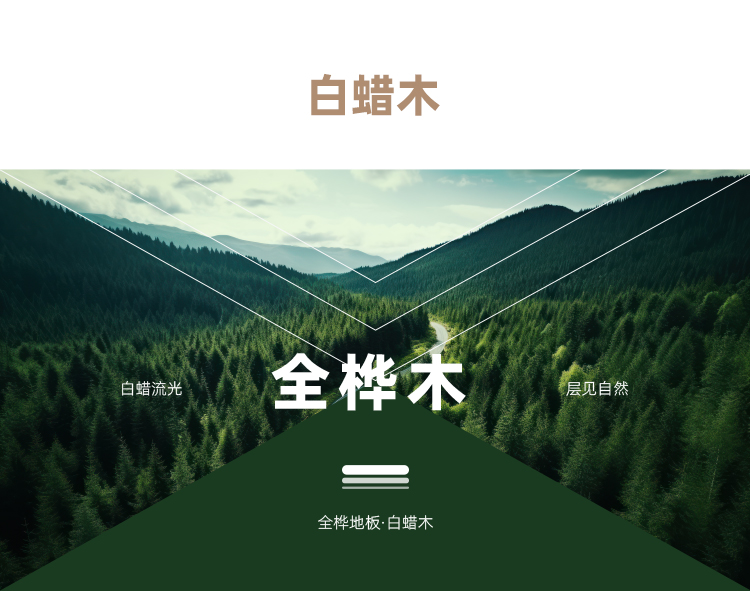 白蜡木主图.jpg